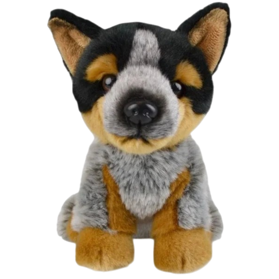 Blue Heeler Blue Heeler