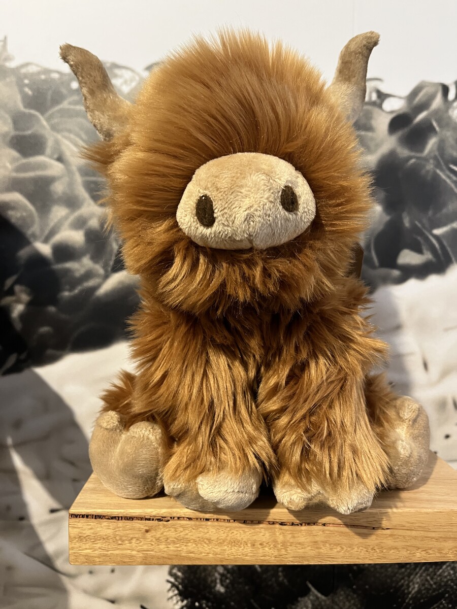 Highland Cow 18cm Highland Cow 18cm