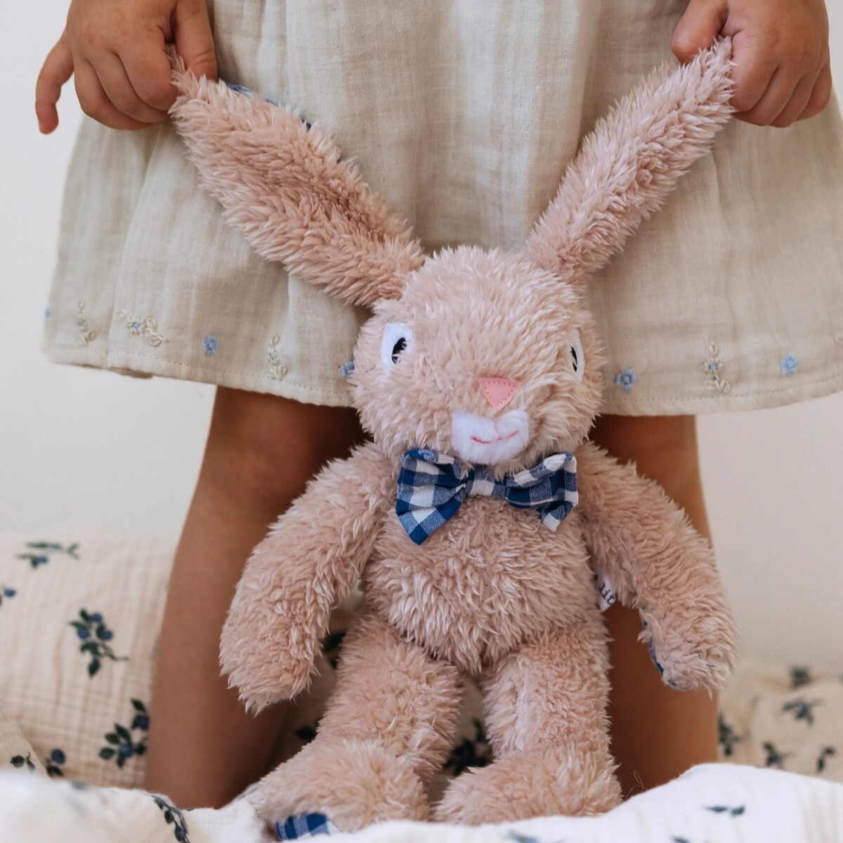 Louis Rabbit Louis Rabbit