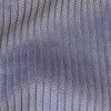 Blue Corduroy
