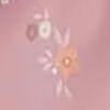 Daisy Frill