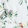 Eucalypt