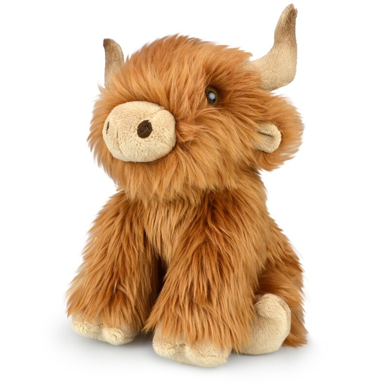 Highland Cow