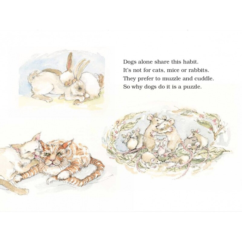 Why dogs sniff bums